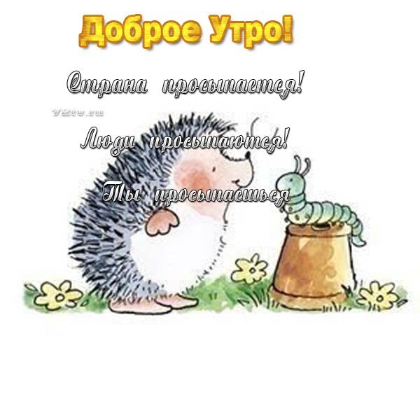 Доброе утро Ежик