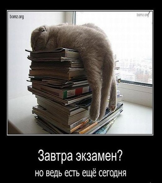 Подготовка к экзамену прикол