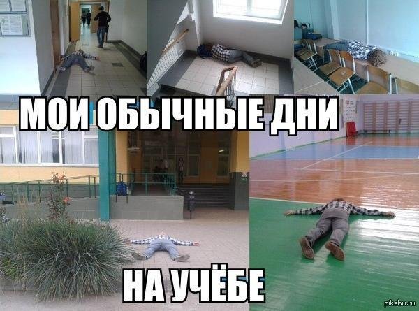 Прикольные про учебу