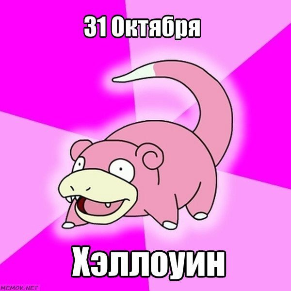 Слоупок с днем рождения