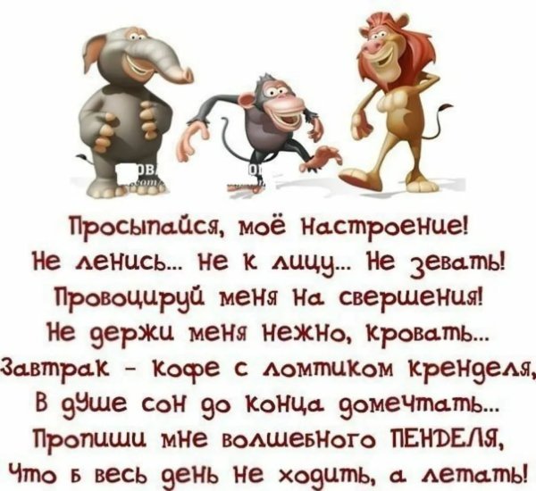 Позитивные высказывания для поднятия настроения