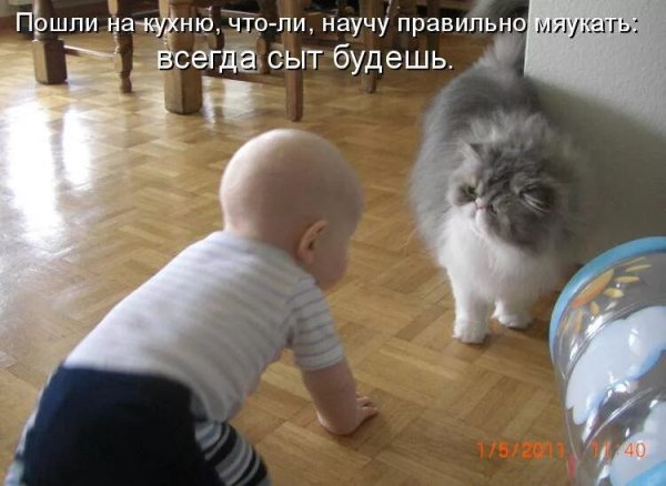 Приколы картинки с надписями