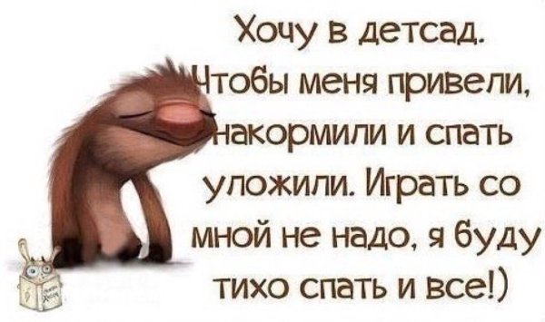 Забавные высказывания