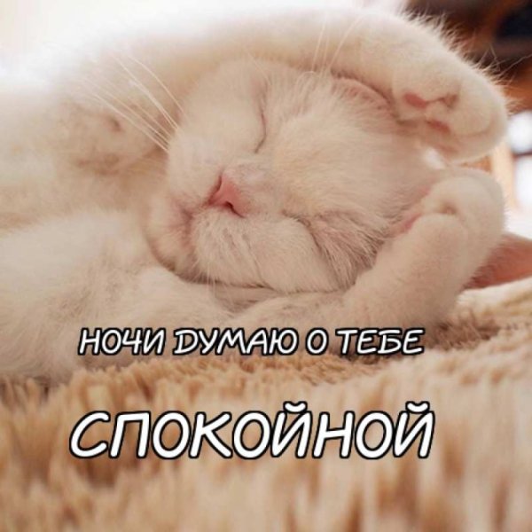 Сладких снов мужчине прикольные