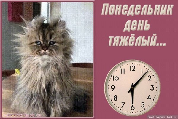 ПОНЕДЕЛЬНИКДЕНЬ тяжёлый