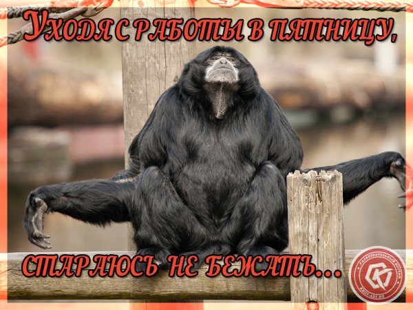 Статусы про пятницу прикольные