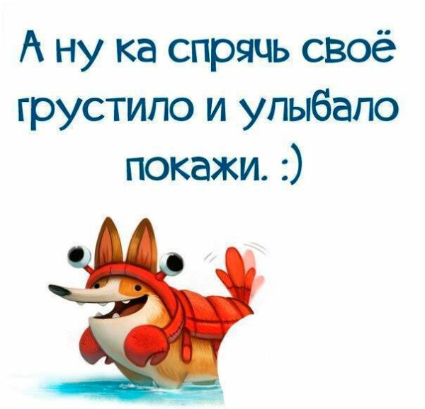 Веселые цитаты