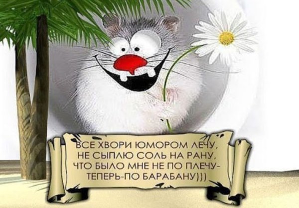 Открытки для поднятия настроения