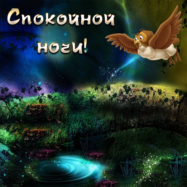 Сказочный сон