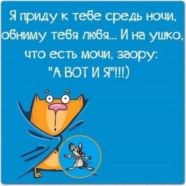 Прикольные пожелания на ночь