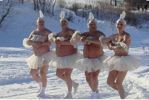 Смешные картинки до слёз