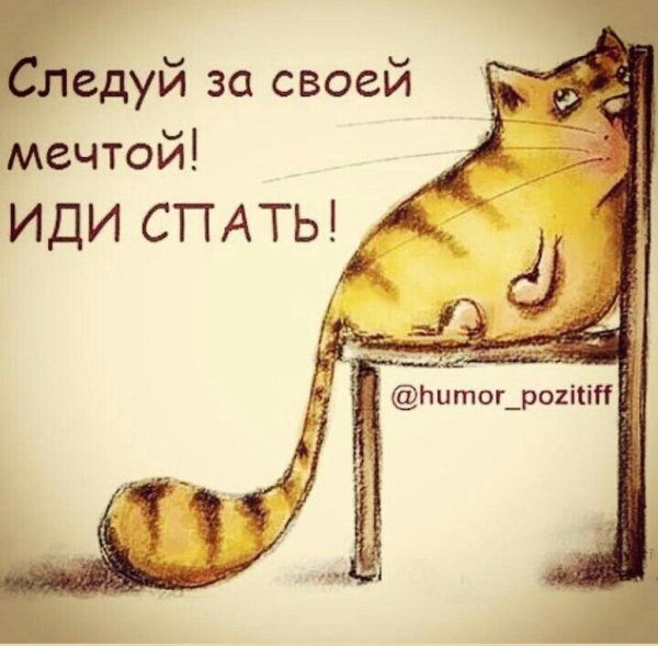 Спать хочется открытки