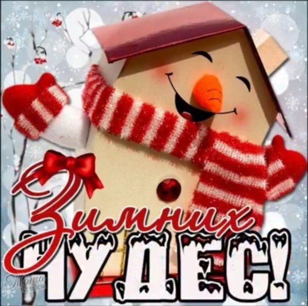 Открытки с зимой прикольные