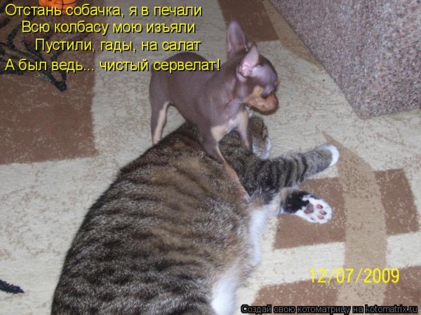Надпись животные