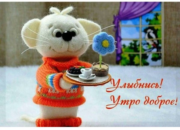 Забавные картинки с добрым утром