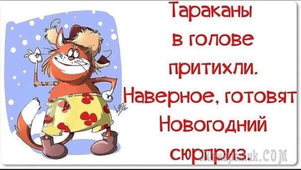 Предновогодние статусы прикольные