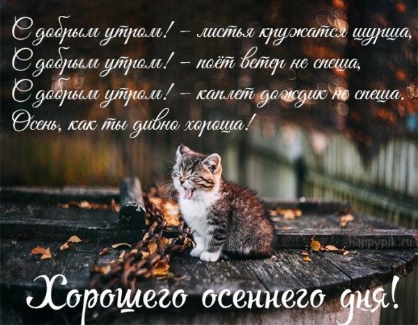Пожелания с добрым осенним дождливым утром