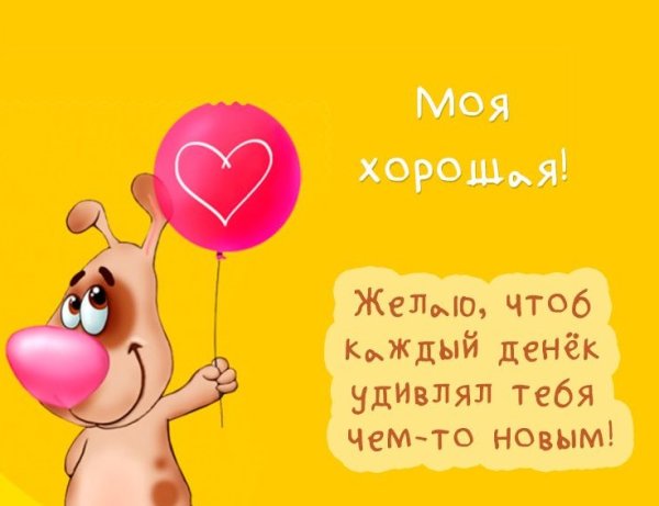 Смешные поздравления с днем рождения