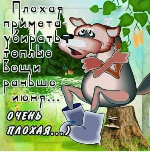Открытки с юмором