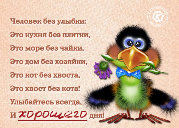 Прикольные пожелания на каждый день
