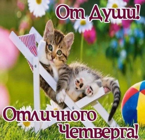 Доброе утро удачного четверга и хорошего настроения