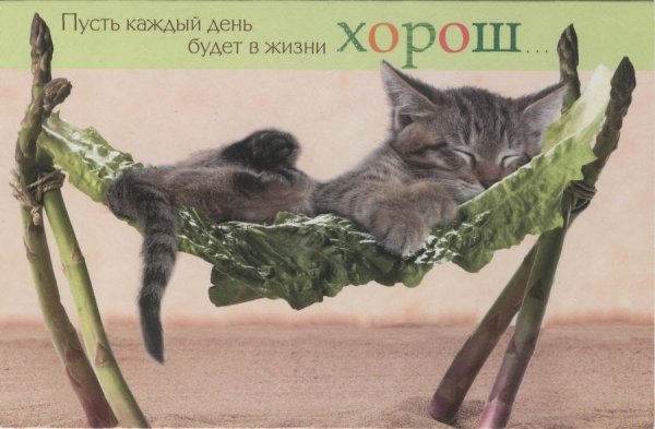 Открытки прикольные на каждый день