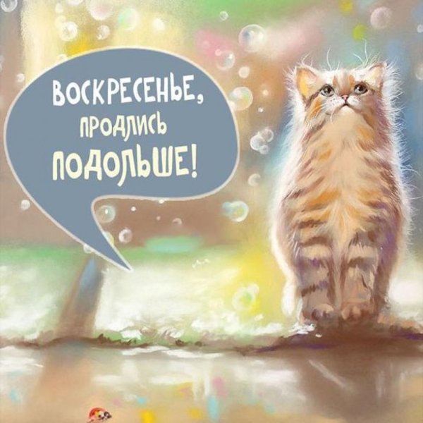 Позитивные открытки