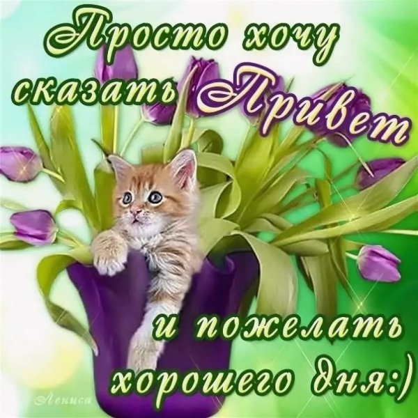Хорошие пожелания хорошего дня