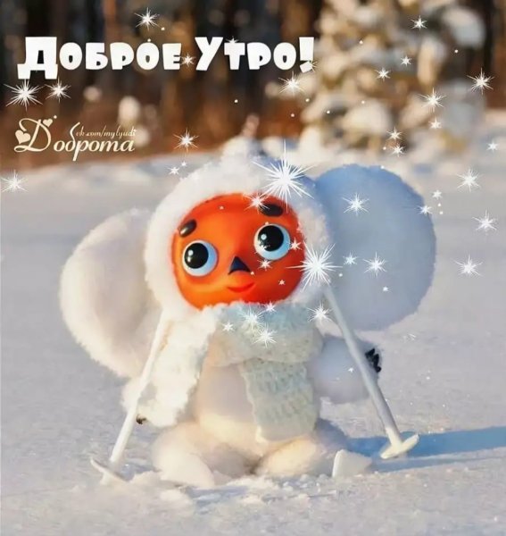 Открытки с добрым утром зимние весёлые