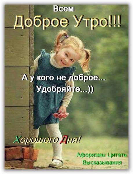 Доброе утро цитаты