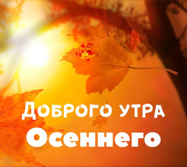 Картинки с добрым утром осенние