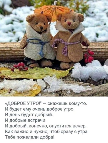 Зимнее настроение цитаты