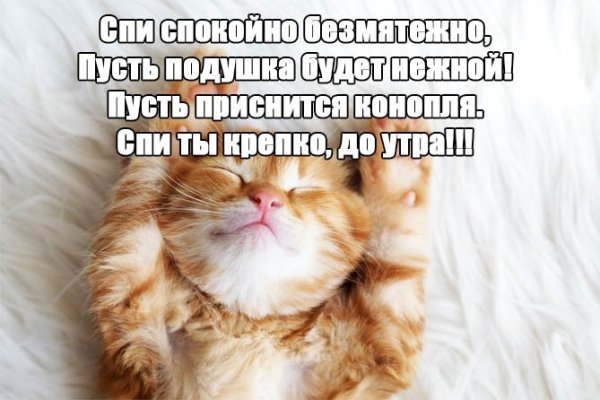 Открытки спокойной ночи прикольные