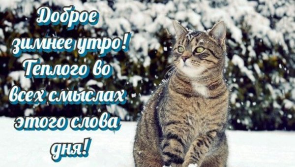 Зимние поздравления с добрым утром