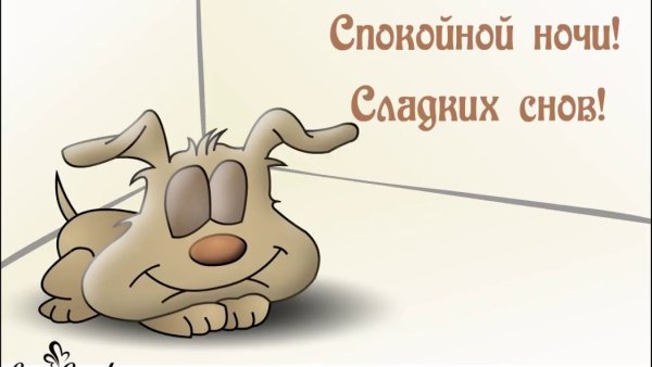 Спокойной ночи картинки прикольные