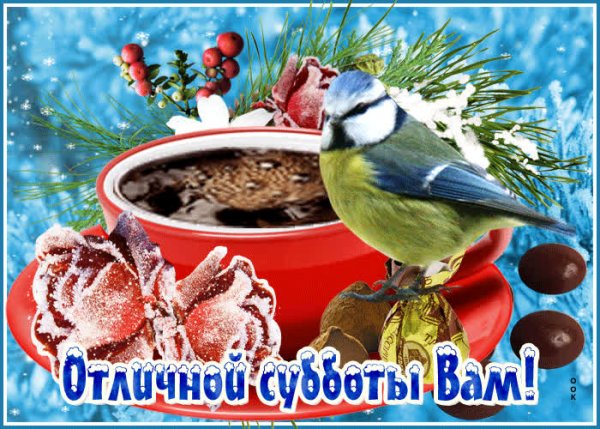 С добрым зимним субботник утром