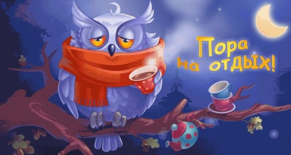 Доброй ночи Сова