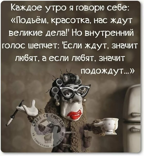 Смешные картинки с добрым утром