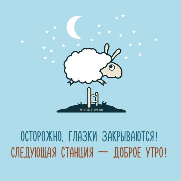 Спокойной ночи барашки