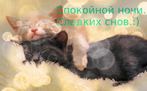 Доброй ночи сладких снов
