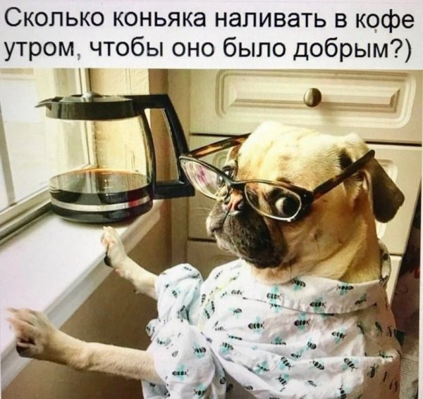 С добрым утром юмор