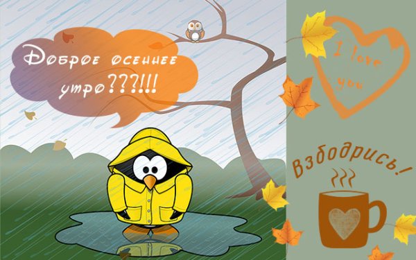 С добрым осенним утром прикольные смешные