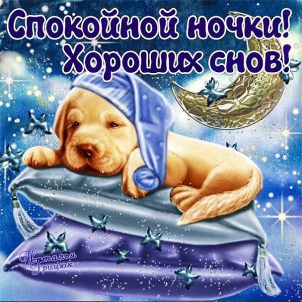 Спокойной ночи сладких снов