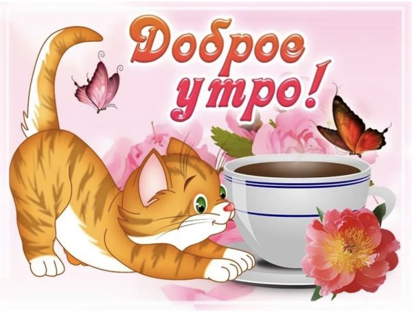 Открытки доброе утро прикольные