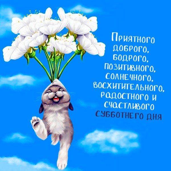Позитивные пожелания хорошего дня