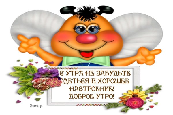 Смешные пожелания с добрым утром