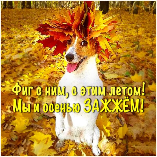 Открытки с добрым утром осенние