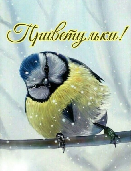 Доброе зимнее утро синицы