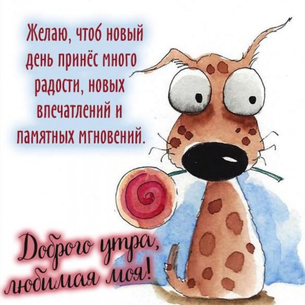 Доброе утро сестра