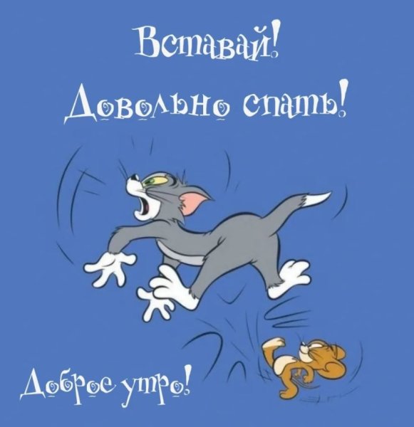 Смешные пожелания на утро